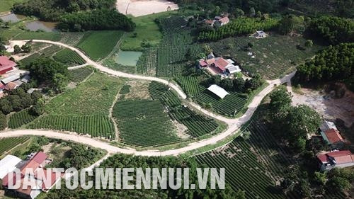 Bắc Giang có địa hình vùng núi, đồi thấp và đồng bằng nên phù hợp phát triển các giống cây trồng, vật nuôi nhiệt đới, á nhiệt đới, gieo trồng nhiều vụ trong năm.