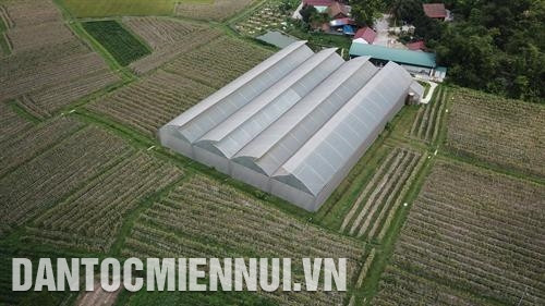 Các sản phẩm rau an toàn của Bắc Giang có đầu ra ổn định.