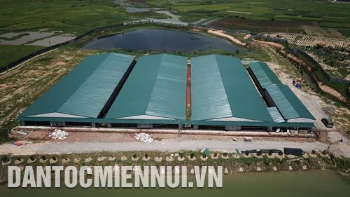 Trang trại lợn của Công ty TNHH Kim Tân Minh đảm bảo đầy đủ yêu cầu vệ sinh môi trường.