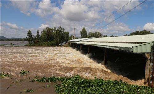 Xả lũ đầu nguồn tại hai đập tràn Tha La và Trà Sư nhằm kiểm soát lũ trên sông Cửu Long và vùng Tứ Giác Long Xuyên gây ngập lụt, ảnh hưởng nghiêm trọng nhiều diện tích lúa ở ĐBSCL. Ảnh: Công Mạo-TTXVN Xả lũ đầu nguồn tại hai đập tràn Tha La và Trà Sư nhằm kiểm soát lũ trên sông Cửu Long và vùng Tứ Giác Long Xuyên gây ngập lụt, ảnh hưởng nghiêm trọng nhiều diện tích lúa ở ĐBSCL. Ảnh: Công Mạo-TTXVN