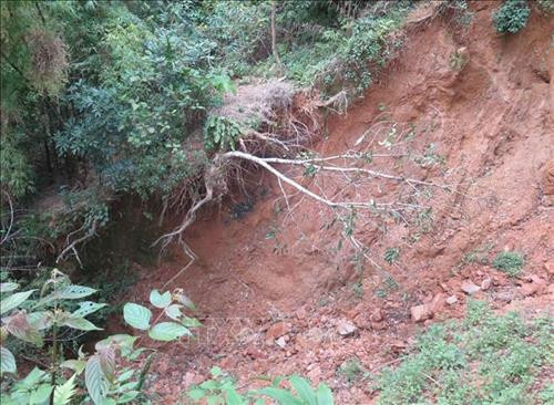 Tình trạng sạt lở hàng chục m3 đất, cây cối tại khe nứt thứ hai và đang có xu hướng ngày càng "nuốt" những diện tích đất phía trên khe vực. Ảnh: Xuân Tiến – TTXVN Tình trạng sạt lở hàng chục m3 đất, cây cối tại khe nứt thứ hai và đang có xu hướng ngày càng "nuốt" những diện tích đất phía trên khe vực. Ảnh: Xuân Tiến – TTXVN