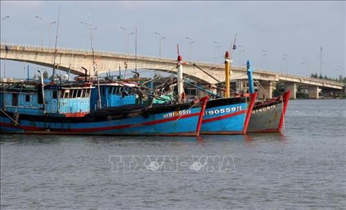 Đội tàu cá vỏ gỗ của ngư dân Quảng Trị được nâng cấp theo Nghị định 67/NĐ-CP. Ảnh: Nguyên Lý-TTXVN Đội tàu cá vỏ gỗ của ngư dân Quảng Trị được nâng cấp theo Nghị định 67/NĐ-CP. Ảnh: Nguyên Lý-TTXVN