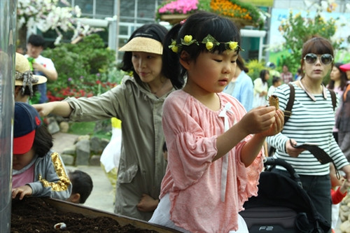 Lễ hội bướm Hampyeong thu hút du khách nhí ảnh 4