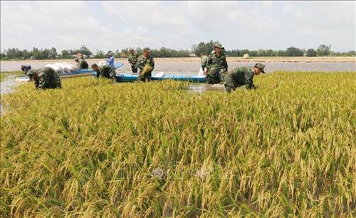 Bác sỹ quân y Bộ đội Biên phòng tỉnh Quảng Nam khám bệnh cho người dân xã biên giới Ga Ry, huyện Tây Giang. Ảnh: Đỗ Trưởng – TTXVN Cán bộ, chiến sỹ Đồn Biên phòng cửa khẩu Quốc tế Tây Trang (Điện Biên) tuyên truyền chủ trương, chính sách cho nhân dân xã Na Ư - địa bàn phức tạp về tệ nạn ma túy. Ảnh: Trần Việt – TTXVN Cán bộ Đồn Biên phòng Huổi Luông (Lai Châu) chủ động, tích cực bám dân, bám bản, tham gia giúp sức cùng đồng bào dân tộc thiểu số sở tại phát triển kinh tế. Ảnh: Việt Hoàng – TTXVN Lực lượng bộ đội và công an hỗ trợ người dân trong vùng đặc biệt nguy hiểm của mưa lũ di dời tài sản đến nơi an toàn tại huyện Văn Chấn, tỉnh Yên Bái. Ảnh: Tuấn Anh –TTXVN Cán bộ Đồn 519 (Bộ đội Biên phòng tỉnh Nghệ An) dạy chữ cho trẻ em dân tộc Mông ở bản Huồi Mới 1, xã Tri Lễ, huyện Quế Phong. Ảnh: TTXVN Cán bộ, chiến sĩ Đồn Biên phòng Huổi Luông (tỉnh Lai Châu) chủ động, tích cực bám dân, bám bản, tham gia giúp sức cùng đồng bào dân tộc thiểu số sở tại phát triển kinh tế. Ảnh: Việt Hoàng – TTXVN Hơn một năm, Thiếu úy Vàng Lao Lừ, Đồn Biên phòng Mường Lạn đã đưa con chữ tới với bản vùng cao xa xôi Co Muông, xã Mường Lạn, huyện Sốp Cộp (Sơn La) để dạy cho học sinh nơi đây. Sau một năm học, 100% các em đều đã biết đọc, biết viết và tính được những phép toán đơn giản. Ảnh: Nguyễn Hồng Cường – TTXVN Cán bộ, chiến sĩ các đơn vị thuộc Quân đoàn 3 giúp nhân dân làng Plei Trớ, xã Chư A Thai, huyện Phú Thiện, tỉnh Gia Lai di chuyển, sắp xếp lại nhà cửa, thực hiện Chương trình mục tiêu quốc gia về xây dựng nông thôn mới của huyện. Ảnh: Hoài Nam – TTXVN Trong sự nghiệp đổi mới, xây dựng và bảo vệ Tổ quốc, công tác dân vận đã hướng vào vận động các tầng lớp nhân dân hăng hái tham gia các phong trào thi đua thực hiện nhiệm vụ phát triển kinh tế - xã hội, củng cố quốc phòng - an ninh, xây dựng hệ thống chính trị. Trong ảnh: Cán bộ, chiến sĩ Đồn Biên phòng Dào San, huyện Phong Thổ, tỉnh Lai Châu thường xuyên xuống bản tuyên truyền cho nhân dân về giữ gìn an ninh trật tự, phương thức phát triển sản xuất, nâng cao năng suất cây trồng, vật nuôi. Ảnh: Công Tuyên – TTXVN Cán bộ, chiến sĩ Đồn Biên phòng Vĩnh Gia (An Giang) giúp dân gặt lúa ở những vùng ngập sâu, máy gặt không thể tiếp cận do ảnh hưởng của lũ. Ảnh: Công Mạo – TTXVN Trưởng Ban Dân vận huyện Tân Uyên, tỉnh Lai Châu (thứ 3 bên trái) cùng cán bộ xã tuyên truyền vận động người dân bản Khau Giếng, xã Hố Mít, huyện Tân Uyên bỏ những phong tục, tập quán lạc hậu, cùng giúp nhau phát triển kinh tế, xóa đói giảm nghèo, chung tay xây dựng nông thôn mới. Ảnh: Quý Trung – TTXVN Cán bộ xã cùng trưởng bản Pá Kim, xã Trung Đồng, huyện Tân Uyên, tỉnh Lai Châu vận động người dân chung tay bảo vệ rừng, không đốt nương bừa bãi gây cháy rừng trong thời tiết hanh khô. Ảnh: Quý Trung – TTXVN Là Bí thư Chi bộ, Trưởng ban công tác Mặt trận thôn và là Phó Đài truyền thanh của xã, anh Đinh Văn Thắng, dân tộc Mường, thôn Nga 3, xã Cúc Phương, huyện Nho Quan (Ninh Bình) phối hợp với các ban, ngành, đoàn thể tuyên truyền, vận động nhân dân xây dựng nếp sống văn minh trong việc cưới, việc tang và lễ hội; từng bước xoá bỏ các phong tục, tập quán lạc hậu, mê tín dị đoan... Ảnh: Minh Đức – TTXVN Đồn Biên phòng Thị Hoa, huyện Hạ Lang, tỉnh Cao Bằng vận động một số tổ chức trong tỉnh đóng góp tiền xây tặng nhà tình nghĩa cho các gia đình chính sách, giúp đồng bào trồng mía, góp phần nâng cao đời sống cho nhân dân nơi đơn vị đóng quân. Ảnh: TTXVN Công ty 75 thuộc Binh đoàn 15 làm tốt công tác dân vận nơi đơn vị đóng quân. Đơn vị đã kết nghĩa 43/43 làng dân tộc tại địa phương, tổ chức thăm hỏi, tặng quà cho đồng bào, đóng góp hàng nghìn công lao động làm đường giao thông, xây dựng nhà rông văn hóa, khám chữa bệnh cho hàng nghìn lượt người... Ảnh: TTXVN Bác sỹ quân y Bộ đội Biên phòng tỉnh Quảng Nam khám bệnh cho người dân xã biên giới Ga Ry, huyện Tây Giang. Ảnh: Đỗ Trưởng – TTXVN Cán bộ, chiến sỹ Đồn Biên phòng cửa khẩu Quốc tế Tây Trang (Điện Biên) tuyên truyền chủ trương, chính sách cho nhân dân xã Na Ư - địa bàn phức tạp về tệ nạn ma túy. Ảnh: Trần Việt – TTXVN Cán bộ Đồn Biên phòng Huổi Luông (Lai Châu) chủ động, tích cực bám dân, bám bản, tham gia giúp sức cùng đồng bào dân tộc thiểu số sở tại phát triển kinh tế. Ảnh: Việt Hoàng – TTXVN Lực lượng bộ đội và công an hỗ trợ người dân trong vùng đặc biệt nguy hiểm của mưa lũ di dời tài sản đến nơi an toàn tại huyện Văn Chấn, tỉnh Yên Bái. Ảnh: Tuấn Anh –TTXVN Cán bộ Đồn 519 (Bộ đội Biên phòng tỉnh Nghệ An) dạy chữ cho trẻ em dân tộc Mông ở bản Huồi Mới 1, xã Tri Lễ, huyện Quế Phong. Ảnh: TTXVN Cán bộ, chiến sĩ Đồn Biên phòng Huổi Luông (tỉnh Lai Châu) chủ động, tích cực bám dân, bám bản, tham gia giúp sức cùng đồng bào dân tộc thiểu số sở tại phát triển kinh tế. Ảnh: Việt Hoàng – TTXVN Hơn một năm, Thiếu úy Vàng Lao Lừ, Đồn Biên phòng Mường Lạn đã đưa con chữ tới với bản vùng cao xa xôi Co Muông, xã Mường Lạn, huyện Sốp Cộp (Sơn La) để dạy cho học sinh nơi đây. Sau một năm học, 100% các em đều đã biết đọc, biết viết và tính được những phép toán đơn giản. Ảnh: Nguyễn Hồng Cường – TTXVN Cán bộ, chiến sĩ các đơn vị thuộc Quân đoàn 3 giúp nhân dân làng Plei Trớ, xã Chư A Thai, huyện Phú Thiện, tỉnh Gia Lai di chuyển, sắp xếp lại nhà cửa, thực hiện Chương trình mục tiêu quốc gia về xây dựng nông thôn mới của huyện. Ảnh: Hoài Nam – TTXVN Trong sự nghiệp đổi mới, xây dựng và bảo vệ Tổ quốc, công tác dân vận đã hướng vào vận động các tầng lớp nhân dân hăng hái tham gia các phong trào thi đua thực hiện nhiệm vụ phát triển kinh tế - xã hội, củng cố quốc phòng - an ninh, xây dựng hệ thống chính trị. Trong ảnh: Cán bộ, chiến sĩ Đồn Biên phòng Dào San, huyện Phong Thổ, tỉnh Lai Châu thường xuyên xuống bản tuyên truyền cho nhân dân về giữ gìn an ninh trật tự, phương thức phát triển sản xuất, nâng cao năng suất cây trồng, vật nuôi. Ảnh: Công Tuyên – TTXVN Cán bộ, chiến sĩ Đồn Biên phòng Vĩnh Gia (An Giang) giúp dân gặt lúa ở những vùng ngập sâu, máy gặt không thể tiếp cận do ảnh hưởng của lũ. Ảnh: Công Mạo – TTXVN Trưởng Ban Dân vận huyện Tân Uyên, tỉnh Lai Châu (thứ 3 bên trái) cùng cán bộ xã tuyên truyền vận động người dân bản Khau Giếng, xã Hố Mít, huyện Tân Uyên bỏ những phong tục, tập quán lạc hậu, cùng giúp nhau phát triển kinh tế, xóa đói giảm nghèo, chung tay xây dựng nông thôn mới. Ảnh: Quý Trung – TTXVN Cán bộ xã cùng trưởng bản Pá Kim, xã Trung Đồng, huyện Tân Uyên, tỉnh Lai Châu vận động người dân chung tay bảo vệ rừng, không đốt nương bừa bãi gây cháy rừng trong thời tiết hanh khô. Ảnh: Quý Trung – TTXVN Là Bí thư Chi bộ, Trưởng ban công tác Mặt trận thôn và là Phó Đài truyền thanh của xã, anh Đinh Văn Thắng, dân tộc Mường, thôn Nga 3, xã Cúc Phương, huyện Nho Quan (Ninh Bình) phối hợp với các ban, ngành, đoàn thể tuyên truyền, vận động nhân dân xây dựng nếp sống văn minh trong việc cưới, việc tang và lễ hội; từng bước xoá bỏ các phong tục, tập quán lạc hậu, mê tín dị đoan... Ảnh: Minh Đức – TTXVN Đồn Biên phòng Thị Hoa, huyện Hạ Lang, tỉnh Cao Bằng vận động một số tổ chức trong tỉnh đóng góp tiền xây tặng nhà tình nghĩa cho các gia đình chính sách, giúp đồng bào trồng mía, góp phần nâng cao đời sống cho nhân dân nơi đơn vị đóng quân. Ảnh: TTXVN Công ty 75 thuộc Binh đoàn 15 làm tốt công tác dân vận nơi đơn vị đóng quân. Đơn vị đã kết nghĩa 43/43 làng dân tộc tại địa phương, tổ chức thăm hỏi, tặng quà cho đồng bào, đóng góp hàng nghìn công lao động làm đường giao thông, xây dựng nhà rông văn hóa, khám chữa bệnh cho hàng nghìn lượt người... Ảnh: TTXVN