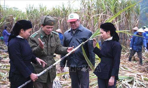 Bác sỹ quân y Bộ đội Biên phòng tỉnh Quảng Nam khám bệnh cho người dân xã biên giới Ga Ry, huyện Tây Giang. Ảnh: Đỗ Trưởng – TTXVN Cán bộ, chiến sỹ Đồn Biên phòng cửa khẩu Quốc tế Tây Trang (Điện Biên) tuyên truyền chủ trương, chính sách cho nhân dân xã Na Ư - địa bàn phức tạp về tệ nạn ma túy. Ảnh: Trần Việt – TTXVN Cán bộ Đồn Biên phòng Huổi Luông (Lai Châu) chủ động, tích cực bám dân, bám bản, tham gia giúp sức cùng đồng bào dân tộc thiểu số sở tại phát triển kinh tế. Ảnh: Việt Hoàng – TTXVN Lực lượng bộ đội và công an hỗ trợ người dân trong vùng đặc biệt nguy hiểm của mưa lũ di dời tài sản đến nơi an toàn tại huyện Văn Chấn, tỉnh Yên Bái. Ảnh: Tuấn Anh –TTXVN Cán bộ Đồn 519 (Bộ đội Biên phòng tỉnh Nghệ An) dạy chữ cho trẻ em dân tộc Mông ở bản Huồi Mới 1, xã Tri Lễ, huyện Quế Phong. Ảnh: TTXVN Cán bộ, chiến sĩ Đồn Biên phòng Huổi Luông (tỉnh Lai Châu) chủ động, tích cực bám dân, bám bản, tham gia giúp sức cùng đồng bào dân tộc thiểu số sở tại phát triển kinh tế. Ảnh: Việt Hoàng – TTXVN Hơn một năm, Thiếu úy Vàng Lao Lừ, Đồn Biên phòng Mường Lạn đã đưa con chữ tới với bản vùng cao xa xôi Co Muông, xã Mường Lạn, huyện Sốp Cộp (Sơn La) để dạy cho học sinh nơi đây. Sau một năm học, 100% các em đều đã biết đọc, biết viết và tính được những phép toán đơn giản. Ảnh: Nguyễn Hồng Cường – TTXVN Cán bộ, chiến sĩ các đơn vị thuộc Quân đoàn 3 giúp nhân dân làng Plei Trớ, xã Chư A Thai, huyện Phú Thiện, tỉnh Gia Lai di chuyển, sắp xếp lại nhà cửa, thực hiện Chương trình mục tiêu quốc gia về xây dựng nông thôn mới của huyện. Ảnh: Hoài Nam – TTXVN Trong sự nghiệp đổi mới, xây dựng và bảo vệ Tổ quốc, công tác dân vận đã hướng vào vận động các tầng lớp nhân dân hăng hái tham gia các phong trào thi đua thực hiện nhiệm vụ phát triển kinh tế - xã hội, củng cố quốc phòng - an ninh, xây dựng hệ thống chính trị. Trong ảnh: Cán bộ, chiến sĩ Đồn Biên phòng Dào San, huyện Phong Thổ, tỉnh Lai Châu thường xuyên xuống bản tuyên truyền cho nhân dân về giữ gìn an ninh trật tự, phương thức phát triển sản xuất, nâng cao năng suất cây trồng, vật nuôi. Ảnh: Công Tuyên – TTXVN Cán bộ, chiến sĩ Đồn Biên phòng Vĩnh Gia (An Giang) giúp dân gặt lúa ở những vùng ngập sâu, máy gặt không thể tiếp cận do ảnh hưởng của lũ. Ảnh: Công Mạo – TTXVN Trưởng Ban Dân vận huyện Tân Uyên, tỉnh Lai Châu (thứ 3 bên trái) cùng cán bộ xã tuyên truyền vận động người dân bản Khau Giếng, xã Hố Mít, huyện Tân Uyên bỏ những phong tục, tập quán lạc hậu, cùng giúp nhau phát triển kinh tế, xóa đói giảm nghèo, chung tay xây dựng nông thôn mới. Ảnh: Quý Trung – TTXVN Cán bộ xã cùng trưởng bản Pá Kim, xã Trung Đồng, huyện Tân Uyên, tỉnh Lai Châu vận động người dân chung tay bảo vệ rừng, không đốt nương bừa bãi gây cháy rừng trong thời tiết hanh khô. Ảnh: Quý Trung – TTXVN Là Bí thư Chi bộ, Trưởng ban công tác Mặt trận thôn và là Phó Đài truyền thanh của xã, anh Đinh Văn Thắng, dân tộc Mường, thôn Nga 3, xã Cúc Phương, huyện Nho Quan (Ninh Bình) phối hợp với các ban, ngành, đoàn thể tuyên truyền, vận động nhân dân xây dựng nếp sống văn minh trong việc cưới, việc tang và lễ hội; từng bước xoá bỏ các phong tục, tập quán lạc hậu, mê tín dị đoan... Ảnh: Minh Đức – TTXVN Đồn Biên phòng Thị Hoa, huyện Hạ Lang, tỉnh Cao Bằng vận động một số tổ chức trong tỉnh đóng góp tiền xây tặng nhà tình nghĩa cho các gia đình chính sách, giúp đồng bào trồng mía, góp phần nâng cao đời sống cho nhân dân nơi đơn vị đóng quân. Ảnh: TTXVN Công ty 75 thuộc Binh đoàn 15 làm tốt công tác dân vận nơi đơn vị đóng quân. Đơn vị đã kết nghĩa 43/43 làng dân tộc tại địa phương, tổ chức thăm hỏi, tặng quà cho đồng bào, đóng góp hàng nghìn công lao động làm đường giao thông, xây dựng nhà rông văn hóa, khám chữa bệnh cho hàng nghìn lượt người... Ảnh: TTXVN Bác sỹ quân y Bộ đội Biên phòng tỉnh Quảng Nam khám bệnh cho người dân xã biên giới Ga Ry, huyện Tây Giang. Ảnh: Đỗ Trưởng – TTXVN Cán bộ, chiến sỹ Đồn Biên phòng cửa khẩu Quốc tế Tây Trang (Điện Biên) tuyên truyền chủ trương, chính sách cho nhân dân xã Na Ư - địa bàn phức tạp về tệ nạn ma túy. Ảnh: Trần Việt – TTXVN Cán bộ Đồn Biên phòng Huổi Luông (Lai Châu) chủ động, tích cực bám dân, bám bản, tham gia giúp sức cùng đồng bào dân tộc thiểu số sở tại phát triển kinh tế. Ảnh: Việt Hoàng – TTXVN Lực lượng bộ đội và công an hỗ trợ người dân trong vùng đặc biệt nguy hiểm của mưa lũ di dời tài sản đến nơi an toàn tại huyện Văn Chấn, tỉnh Yên Bái. Ảnh: Tuấn Anh –TTXVN Cán bộ Đồn 519 (Bộ đội Biên phòng tỉnh Nghệ An) dạy chữ cho trẻ em dân tộc Mông ở bản Huồi Mới 1, xã Tri Lễ, huyện Quế Phong. Ảnh: TTXVN Cán bộ, chiến sĩ Đồn Biên phòng Huổi Luông (tỉnh Lai Châu) chủ động, tích cực bám dân, bám bản, tham gia giúp sức cùng đồng bào dân tộc thiểu số sở tại phát triển kinh tế. Ảnh: Việt Hoàng – TTXVN Hơn một năm, Thiếu úy Vàng Lao Lừ, Đồn Biên phòng Mường Lạn đã đưa con chữ tới với bản vùng cao xa xôi Co Muông, xã Mường Lạn, huyện Sốp Cộp (Sơn La) để dạy cho học sinh nơi đây. Sau một năm học, 100% các em đều đã biết đọc, biết viết và tính được những phép toán đơn giản. Ảnh: Nguyễn Hồng Cường – TTXVN Cán bộ, chiến sĩ các đơn vị thuộc Quân đoàn 3 giúp nhân dân làng Plei Trớ, xã Chư A Thai, huyện Phú Thiện, tỉnh Gia Lai di chuyển, sắp xếp lại nhà cửa, thực hiện Chương trình mục tiêu quốc gia về xây dựng nông thôn mới của huyện. Ảnh: Hoài Nam – TTXVN Trong sự nghiệp đổi mới, xây dựng và bảo vệ Tổ quốc, công tác dân vận đã hướng vào vận động các tầng lớp nhân dân hăng hái tham gia các phong trào thi đua thực hiện nhiệm vụ phát triển kinh tế - xã hội, củng cố quốc phòng - an ninh, xây dựng hệ thống chính trị. Trong ảnh: Cán bộ, chiến sĩ Đồn Biên phòng Dào San, huyện Phong Thổ, tỉnh Lai Châu thường xuyên xuống bản tuyên truyền cho nhân dân về giữ gìn an ninh trật tự, phương thức phát triển sản xuất, nâng cao năng suất cây trồng, vật nuôi. Ảnh: Công Tuyên – TTXVN Cán bộ, chiến sĩ Đồn Biên phòng Vĩnh Gia (An Giang) giúp dân gặt lúa ở những vùng ngập sâu, máy gặt không thể tiếp cận do ảnh hưởng của lũ. Ảnh: Công Mạo – TTXVN Trưởng Ban Dân vận huyện Tân Uyên, tỉnh Lai Châu (thứ 3 bên trái) cùng cán bộ xã tuyên truyền vận động người dân bản Khau Giếng, xã Hố Mít, huyện Tân Uyên bỏ những phong tục, tập quán lạc hậu, cùng giúp nhau phát triển kinh tế, xóa đói giảm nghèo, chung tay xây dựng nông thôn mới. Ảnh: Quý Trung – TTXVN Cán bộ xã cùng trưởng bản Pá Kim, xã Trung Đồng, huyện Tân Uyên, tỉnh Lai Châu vận động người dân chung tay bảo vệ rừng, không đốt nương bừa bãi gây cháy rừng trong thời tiết hanh khô. Ảnh: Quý Trung – TTXVN Là Bí thư Chi bộ, Trưởng ban công tác Mặt trận thôn và là Phó Đài truyền thanh của xã, anh Đinh Văn Thắng, dân tộc Mường, thôn Nga 3, xã Cúc Phương, huyện Nho Quan (Ninh Bình) phối hợp với các ban, ngành, đoàn thể tuyên truyền, vận động nhân dân xây dựng nếp sống văn minh trong việc cưới, việc tang và lễ hội; từng bước xoá bỏ các phong tục, tập quán lạc hậu, mê tín dị đoan... Ảnh: Minh Đức – TTXVN Đồn Biên phòng Thị Hoa, huyện Hạ Lang, tỉnh Cao Bằng vận động một số tổ chức trong tỉnh đóng góp tiền xây tặng nhà tình nghĩa cho các gia đình chính sách, giúp đồng bào trồng mía, góp phần nâng cao đời sống cho nhân dân nơi đơn vị đóng quân. Ảnh: TTXVN Công ty 75 thuộc Binh đoàn 15 làm tốt công tác dân vận nơi đơn vị đóng quân. Đơn vị đã kết nghĩa 43/43 làng dân tộc tại địa phương, tổ chức thăm hỏi, tặng quà cho đồng bào, đóng góp hàng nghìn công lao động làm đường giao thông, xây dựng nhà rông văn hóa, khám chữa bệnh cho hàng nghìn lượt người... Ảnh: TTXVN