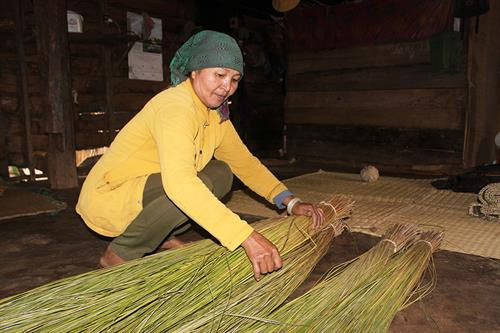 Cói dệt chiếu lấy ở sông Krông Na, Krông Nô. Cói dệt chiếu lấy ở sông Krông Na, Krông Nô.