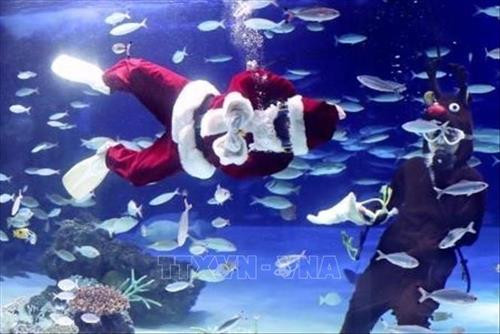 Hàng nghìn ông già Noel tham gia cuộc thi chạy thường niên tại Budapest, Hungary ngày 2/12/2018. Ảnh: THX/ TTXVN Khoảng 30 Ông già Noel tham gia diễu hành trên xe máy tại Zurich, Thụy Sĩ ngày 2/12/2018. Ảnh: THX/ TTXVN Hơn 500 Ông già Noel tham gia cuộc thi chạy thường niên tại Ontario, Canada ngày 25/11/2018. Ảnh: THX/ TTXVN Màn biểu diễn dưới nước của Ông già Noel tại Công viên Hải dương học Sunshine ở thủ đô Tokyo, Nhật Bản ngày 10/11/2018. Ảnh: Kyodo/ TTXVN Các Ông già Noel tham gia diễu hành tại Toronto, Canada ngày 18/11/2018. Ảnh: THX/ TTXVN Hàng nghìn ông già Noel tham gia cuộc thi chạy thường niên tại Budapest, Hungary ngày 2/12/2018. Ảnh: THX/ TTXVN Khoảng 30 Ông già Noel tham gia diễu hành trên xe máy tại Zurich, Thụy Sĩ ngày 2/12/2018. Ảnh: THX/ TTXVN Hơn 500 Ông già Noel tham gia cuộc thi chạy thường niên tại Ontario, Canada ngày 25/11/2018. Ảnh: THX/ TTXVN Màn biểu diễn dưới nước của Ông già Noel tại Công viên Hải dương học Sunshine ở thủ đô Tokyo, Nhật Bản ngày 10/11/2018. Ảnh: Kyodo/ TTXVN Các Ông già Noel tham gia diễu hành tại Toronto, Canada ngày 18/11/2018. Ảnh: THX/ TTXVN
