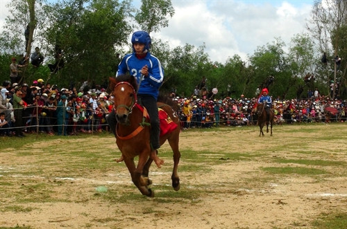 Ngày 5/2/2017 (tức mùng 9 Tết Đinh Dậu), Hội đua ngựa truyền thống Gò Thì Thùng được tổ chức tại xã An Xuân, huyện Tuy An, tỉnh Phú Yên. Đua ngựa ở Gò Thì Thùng không phải là cuộc đua của vận động viên chuyên nghiệp mà là của người nông dân và ngựa đua là những con ngựa thồ. Trong ảnh: Ngựa bứt tốc để về đích. Ảnh: Xuân Triệu - TTXVN Ngày 5/2/2017 (tức mùng 9 Tết Đinh Dậu), Hội đua ngựa truyền thống Gò Thì Thùng được tổ chức tại xã An Xuân, huyện Tuy An, tỉnh Phú Yên. Đua ngựa ở Gò Thì Thùng không phải là cuộc đua của vận động viên chuyên nghiệp mà là của người nông dân và ngựa đua là những con ngựa thồ. Trong ảnh: Ngựa bứt tốc để về đích. Ảnh: Xuân Triệu - TTXVN