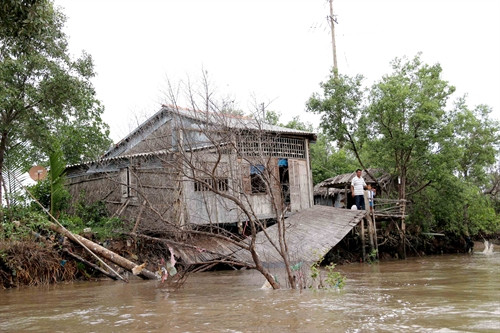 Căn nhà của gia đình ông Lâm Văn Són, xã Hàng Vịnh, huyện Năm Căn bị sụt lún do ảnh hưởng sạt lở đất ven sông. Ảnh: Kim Há-TTXVN Căn nhà của gia đình ông Lâm Văn Són, xã Hàng Vịnh, huyện Năm Căn bị sụt lún do ảnh hưởng sạt lở đất ven sông. Ảnh: Kim Há-TTXVN