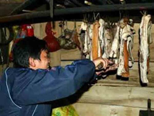 Lấy trộm thịt heo gác bếp