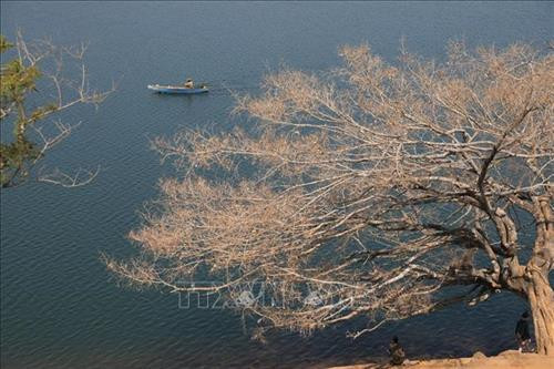 Cách trung tâm Gia Lai khoảng 30 km về hướng đông bắc, thuộc địa phận huyện Chư Pah mỗi mùa núi lửa Chư Đăng Ya mang một sắc màu riêng. Ảnh: Thành Đạt – TTXVN Biển Hồ, thắng cảnh du lịch nổi tiếng của thành phố Pleiku, tỉnh Gia Lai. Ảnh: Thành Đạt – TTXVN Vẻ đẹp hùng vĩ của núi rừng Gia Lai. Ảnh: Thành Đạt – TTXVN Hoa cà phê trắng muốt có mùi hương ngọt ngào. Ảnh: Thành Đạt – TTXVN Rừng hoa cà phê trắng muốt trải dài trên phố núi Pleiku. Ảnh: Thành Đạt – TTXVN Quảng trường Đại Đoàn Kết - công trình được mệnh danh là trái tim Pleiku. Ảnh: Thành Đạt – TTXVN Văn hóa cồng chiêng di sản không thể thiếu ở Gia Lai. Ảnh: Thành Đạt – TTXVN Vẻ đẹp hùng vĩ của núi rừng Gia Lai với hình ảnh nhà rông và núi lửa Chư Đăng Ya. Ảnh: Thành Đạt - TTXVN Cách trung tâm Gia Lai khoảng 30 km về hướng đông bắc, thuộc địa phận huyện Chư Pah mỗi mùa núi lửa Chư Đăng Ya mang một sắc màu riêng. Ảnh: Thành Đạt – TTXVN Biển Hồ, thắng cảnh du lịch nổi tiếng của thành phố Pleiku, tỉnh Gia Lai. Ảnh: Thành Đạt – TTXVN Vẻ đẹp hùng vĩ của núi rừng Gia Lai. Ảnh: Thành Đạt – TTXVN Hoa cà phê trắng muốt có mùi hương ngọt ngào. Ảnh: Thành Đạt – TTXVN Rừng hoa cà phê trắng muốt trải dài trên phố núi Pleiku. Ảnh: Thành Đạt – TTXVN Quảng trường Đại Đoàn Kết - công trình được mệnh danh là trái tim Pleiku. Ảnh: Thành Đạt – TTXVN Văn hóa cồng chiêng di sản không thể thiếu ở Gia Lai. Ảnh: Thành Đạt – TTXVN Vẻ đẹp hùng vĩ của núi rừng Gia Lai với hình ảnh nhà rông và núi lửa Chư Đăng Ya. Ảnh: Thành Đạt - TTXVN