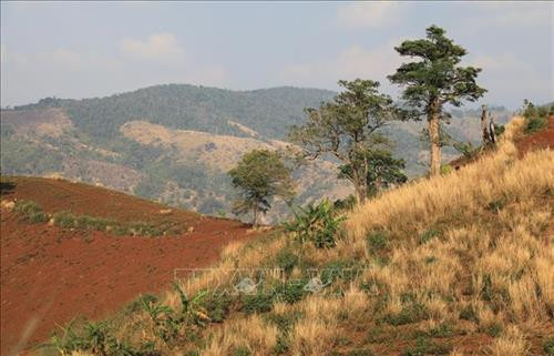 Cách trung tâm Gia Lai khoảng 30 km về hướng đông bắc, thuộc địa phận huyện Chư Pah mỗi mùa núi lửa Chư Đăng Ya mang một sắc màu riêng. Ảnh: Thành Đạt – TTXVN Biển Hồ, thắng cảnh du lịch nổi tiếng của thành phố Pleiku, tỉnh Gia Lai. Ảnh: Thành Đạt – TTXVN Vẻ đẹp hùng vĩ của núi rừng Gia Lai. Ảnh: Thành Đạt – TTXVN Hoa cà phê trắng muốt có mùi hương ngọt ngào. Ảnh: Thành Đạt – TTXVN Rừng hoa cà phê trắng muốt trải dài trên phố núi Pleiku. Ảnh: Thành Đạt – TTXVN Quảng trường Đại Đoàn Kết - công trình được mệnh danh là trái tim Pleiku. Ảnh: Thành Đạt – TTXVN Văn hóa cồng chiêng di sản không thể thiếu ở Gia Lai. Ảnh: Thành Đạt – TTXVN Vẻ đẹp hùng vĩ của núi rừng Gia Lai với hình ảnh nhà rông và núi lửa Chư Đăng Ya. Ảnh: Thành Đạt - TTXVN Cách trung tâm Gia Lai khoảng 30 km về hướng đông bắc, thuộc địa phận huyện Chư Pah mỗi mùa núi lửa Chư Đăng Ya mang một sắc màu riêng. Ảnh: Thành Đạt – TTXVN Biển Hồ, thắng cảnh du lịch nổi tiếng của thành phố Pleiku, tỉnh Gia Lai. Ảnh: Thành Đạt – TTXVN Vẻ đẹp hùng vĩ của núi rừng Gia Lai. Ảnh: Thành Đạt – TTXVN Hoa cà phê trắng muốt có mùi hương ngọt ngào. Ảnh: Thành Đạt – TTXVN Rừng hoa cà phê trắng muốt trải dài trên phố núi Pleiku. Ảnh: Thành Đạt – TTXVN Quảng trường Đại Đoàn Kết - công trình được mệnh danh là trái tim Pleiku. Ảnh: Thành Đạt – TTXVN Văn hóa cồng chiêng di sản không thể thiếu ở Gia Lai. Ảnh: Thành Đạt – TTXVN Vẻ đẹp hùng vĩ của núi rừng Gia Lai với hình ảnh nhà rông và núi lửa Chư Đăng Ya. Ảnh: Thành Đạt - TTXVN