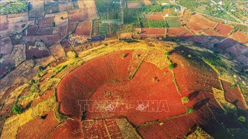 Cách trung tâm Gia Lai khoảng 30 km về hướng đông bắc, thuộc địa phận huyện Chư Pah mỗi mùa núi lửa Chư Đăng Ya mang một sắc màu riêng. Ảnh: Thành Đạt – TTXVN Biển Hồ, thắng cảnh du lịch nổi tiếng của thành phố Pleiku, tỉnh Gia Lai. Ảnh: Thành Đạt – TTXVN Vẻ đẹp hùng vĩ của núi rừng Gia Lai. Ảnh: Thành Đạt – TTXVN Hoa cà phê trắng muốt có mùi hương ngọt ngào. Ảnh: Thành Đạt – TTXVN Rừng hoa cà phê trắng muốt trải dài trên phố núi Pleiku. Ảnh: Thành Đạt – TTXVN Quảng trường Đại Đoàn Kết - công trình được mệnh danh là trái tim Pleiku. Ảnh: Thành Đạt – TTXVN Văn hóa cồng chiêng di sản không thể thiếu ở Gia Lai. Ảnh: Thành Đạt – TTXVN Vẻ đẹp hùng vĩ của núi rừng Gia Lai với hình ảnh nhà rông và núi lửa Chư Đăng Ya. Ảnh: Thành Đạt - TTXVN Cách trung tâm Gia Lai khoảng 30 km về hướng đông bắc, thuộc địa phận huyện Chư Pah mỗi mùa núi lửa Chư Đăng Ya mang một sắc màu riêng. Ảnh: Thành Đạt – TTXVN Biển Hồ, thắng cảnh du lịch nổi tiếng của thành phố Pleiku, tỉnh Gia Lai. Ảnh: Thành Đạt – TTXVN Vẻ đẹp hùng vĩ của núi rừng Gia Lai. Ảnh: Thành Đạt – TTXVN Hoa cà phê trắng muốt có mùi hương ngọt ngào. Ảnh: Thành Đạt – TTXVN Rừng hoa cà phê trắng muốt trải dài trên phố núi Pleiku. Ảnh: Thành Đạt – TTXVN Quảng trường Đại Đoàn Kết - công trình được mệnh danh là trái tim Pleiku. Ảnh: Thành Đạt – TTXVN Văn hóa cồng chiêng di sản không thể thiếu ở Gia Lai. Ảnh: Thành Đạt – TTXVN Vẻ đẹp hùng vĩ của núi rừng Gia Lai với hình ảnh nhà rông và núi lửa Chư Đăng Ya. Ảnh: Thành Đạt - TTXVN