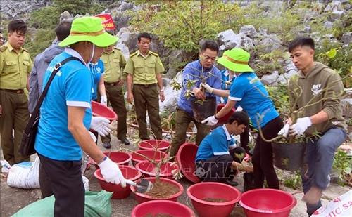 Câu lạc bộ Đô thị xanh Hải Phòng cùng các chiến sĩ đồn biên phòng trồng hoa vào các chậu để giữ đất. Ảnh: TTXVN Câu lạc bộ Đô thị xanh Hải Phòng cùng các chiến sĩ đồn biên phòng trồng hoa vào các chậu để giữ đất. Ảnh: TTXVN