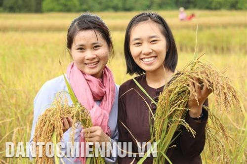 Du khách chụp ảnh với nếp gù Trùng Khánh - Cao Bằng Ảnh: pnduc