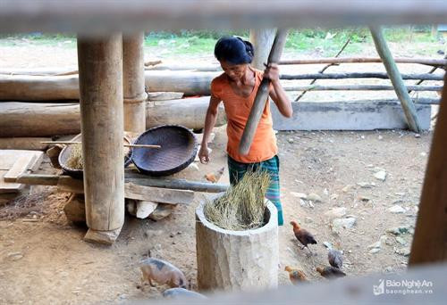 Cận cảnh những chiếc cối giã gạo truyền thống của đồng bào miền Tây xứ Nghệ ảnh 4