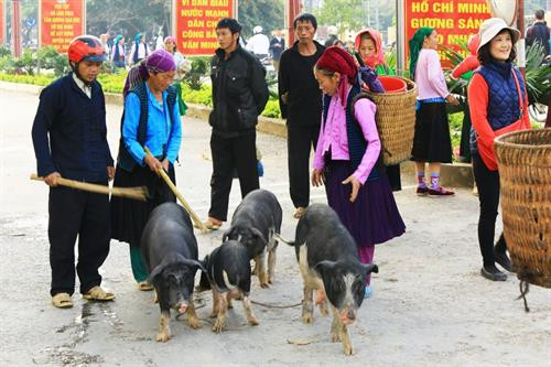 Chiều khách Thử áo Chọn lựa Giao lưu Góc chợ Lũng Pài Ngày chợ phiên Rực rỡ sắc màu Góc chợ Hàng hóa được bày bán tại chợ Vật dụng nhà nông Xem hàng Tan chợ
