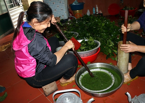 Sau khi chè đã giã xong cho vào một cái vỉ rồi gạn lấy nước chè, theo lượng chè để pha với nước đun sôi (hoặc để nguội). Sau khi chè đã giã xong cho vào một cái vỉ rồi gạn lấy nước chè, theo lượng chè để pha với nước đun sôi (hoặc để nguội).