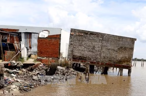 Khu dân cư tại thị trấn Năm Căn, huyện Năm Căn, Cà Mau đang đối mặt với mối nguy hiểm do tình trạng sạt lở đất ven sông. Ảnh: Kim Há - TTXVN