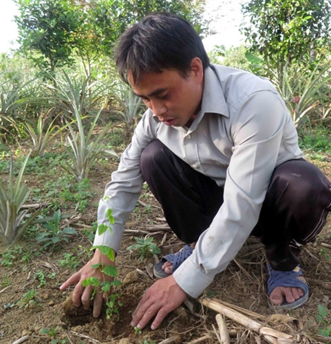 Ch’Ơm cất cánh từ lợi thế địa phương ảnh 2