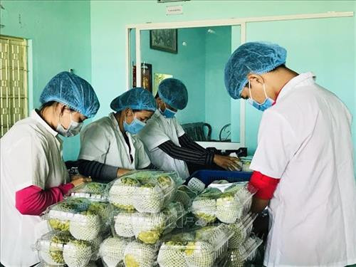 Đóng gói sản phẩm mãng cầu xuất khẩu tại Công ty Natani Tây Ninh. Ảnh: Lê Đức Hoảnh - TTXVN Đóng gói sản phẩm mãng cầu xuất khẩu tại Công ty Natani Tây Ninh. Ảnh: Lê Đức Hoảnh - TTXVN