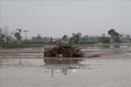 Người dân xã Trung Nguyên, huyện Yên Lạc làm đất gieo cấy lúa vụ Đông xuân 2019. Ảnh: Nguyễn Trọng Lịch-TTXVN Người dân xã Trung Nguyên, huyện Yên Lạc làm đất gieo cấy lúa vụ Đông xuân 2019. Ảnh: Nguyễn Trọng Lịch-TTXVN