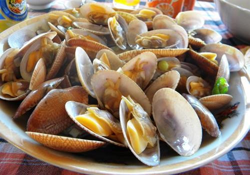 Chem chép biển - đặc sản Quảng Bình ảnh 1