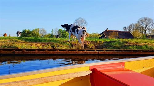 Những trải nghiệm thú vị ở Hà Lan - đất nước thiên đường ảnh 12