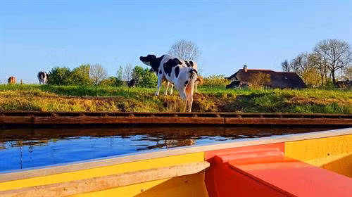 Những trải nghiệm thú vị ở Hà Lan - đất nước thiên đường ảnh 12