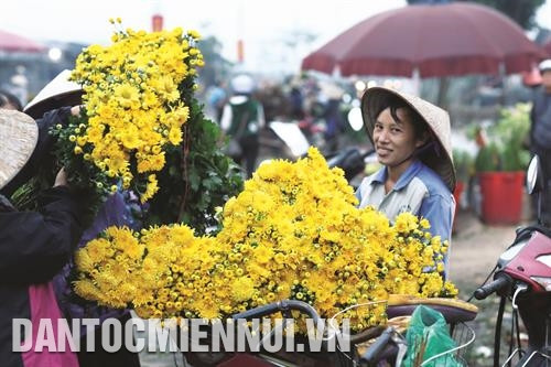 Hàng năm, huyện Mê Linh cung cấp gần 300 triệu cành hoa, gồm các loại hoa: hồng, cúc, loa kèn, lily... cho người tiêu dung. Ảnh: Tú Quỳnh