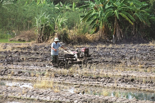 Bà con nông dân huyện Cái Bè làm đất chuẩn bị sản xuất vụ mới Bà con nông dân huyện Cái Bè làm đất chuẩn bị sản xuất vụ mới