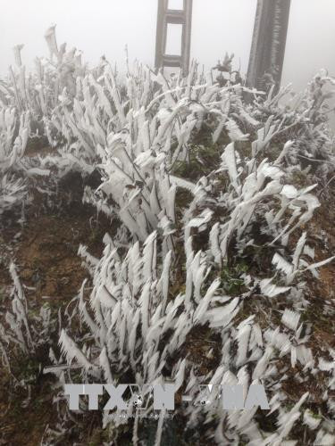Đây là lần thứ ba băng giá xuất hiện tại đây kể trong vòng một tháng qua. Ảnh: Đỗ Tuấn Anh -TTXVN Đây là lần thứ ba băng giá xuất hiện tại đây kể trong vòng một tháng qua. Ảnh: Đỗ Tuấn Anh -TTXVN