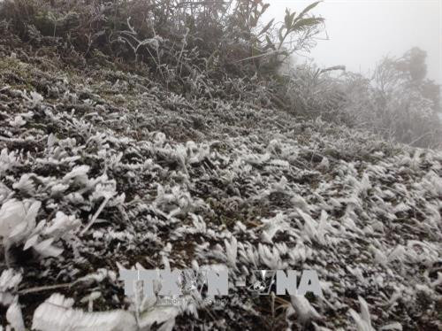 Đây là lần thứ ba băng giá xuất hiện tại đây kể trong vòng một tháng qua. Ảnh: Đỗ Tuấn Anh -TTXVN Đây là lần thứ ba băng giá xuất hiện tại đây kể trong vòng một tháng qua. Ảnh: Đỗ Tuấn Anh -TTXVN