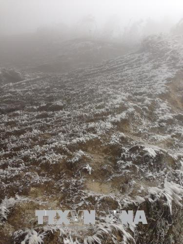 Đây là lần thứ ba băng giá xuất hiện tại đây kể trong vòng một tháng qua. Ảnh: Đỗ Tuấn Anh -TTXVN Đây là lần thứ ba băng giá xuất hiện tại đây kể trong vòng một tháng qua. Ảnh: Đỗ Tuấn Anh -TTXVN