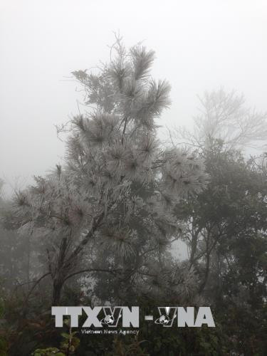 Đây là lần thứ ba băng giá xuất hiện tại đây kể trong vòng một tháng qua. Ảnh: Đỗ Tuấn Anh -TTXVN Đây là lần thứ ba băng giá xuất hiện tại đây kể trong vòng một tháng qua. Ảnh: Đỗ Tuấn Anh -TTXVN