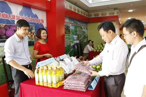 Các sản phẩm nông nghiệp được sản xuất tại tỉnh Yên Bái. Ảnh: Việt Dũng - TTXVN