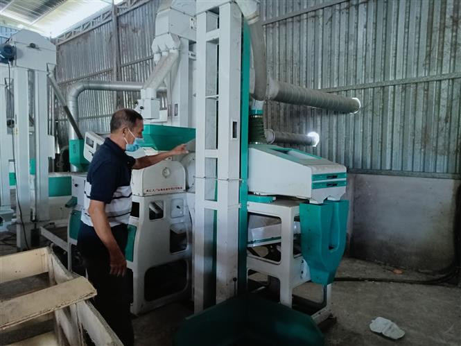 Hợp tác xã Nông nghiệp và Dịch vụ An Nhứt ở xã An Nhứt, huyện Long Điền đã xây dựng một nhà máy sấy nhằm nâng cao chất lượng lúa sau thu hoạch. Ảnh: Hoàng Nhị - TTXVN Lực đẩy từ phát triển các hợp tác xã đa ngành ở Bà Rịa - Vũng Tàu ảnh 2