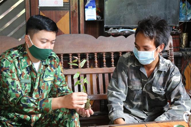 Cán bộ, chiến sĩ Đồn Biên phòng Chi Ma trao tặng và hướng dẫn cách trồng cây giống cho người dân vùng biên. Ảnh: Quang Duy – TTXVN Dấu ấn người lính quân hàm xanh Xứ Lạng ảnh 4