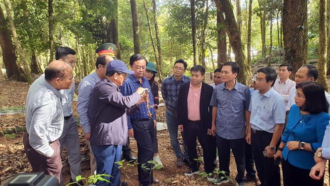 Đoàn công tác Bộ Nông nghiệp và Phát triển nông thôn kiểm tra thực tế tại vườn âm Ngọc Linh của Công ty Cổ phần Sâm Ngọc Linh Kon Tum tại xã Tê Xăng, huyện Tu Mơ Rông (Kon Tum). Ảnh: Khoa Chương - TTXVN “Mặc giáp” cho sâm Ngọc Linh ảnh 5