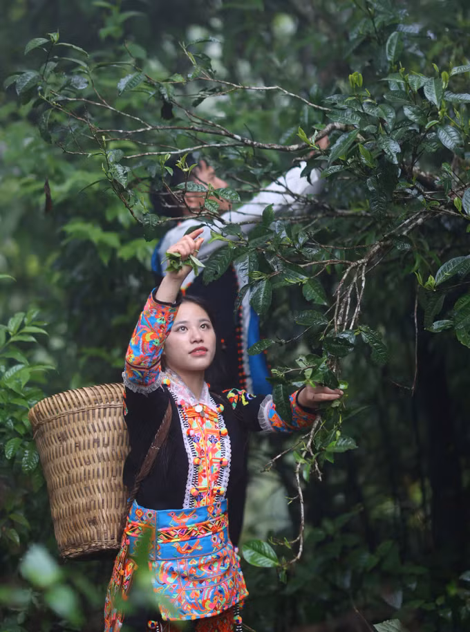 Bảo tồn “lộc trời” trên đất Mồ Sì San ảnh 2