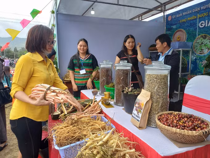 Kon Tum chú trọng phát triển dược liệu ảnh 1