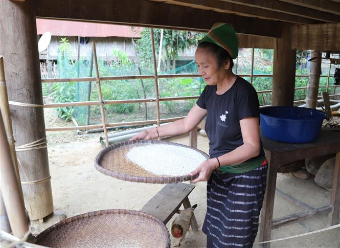 Phụ nữ dân tộc Thái ở bản Na Ngân, xã Nga My (Tương Dương, Nghệ An) sàng sảy gạo. Ảnh: Xuân Tiến - TTXVN Nhịp sống yên bình giữa đại ngàn Pù Huống ảnh 4