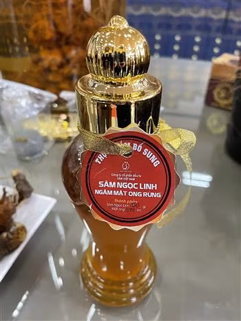 Kon Tum vào cuộc tìm diện tích sâm Ngọc Linh của Công ty sâm Việt Nam ảnh 2