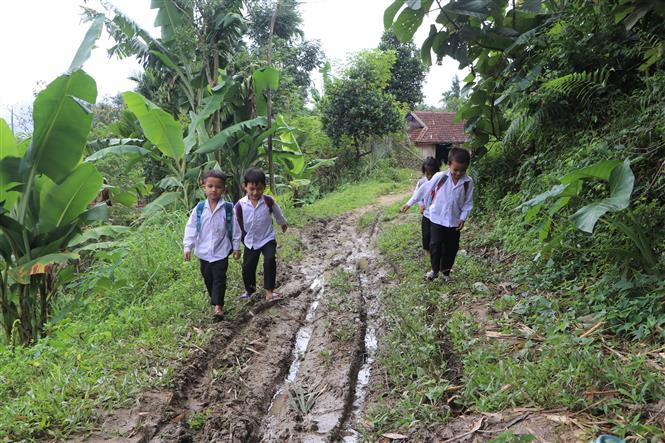 Đường đến điểm trường của học sinh thôn Nước Nia. Ảnh: Đinh Hương - TTXVN Ngày Nhà giáo Việt Nam 20/11: Cha và con thầy giáo cùng hành trình "gieo chữ" nơi vùng cao Trà Bồng ảnh 1