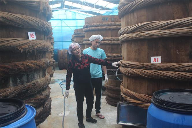 Xã Hoằng Phụ hiện có nhiều hộ gia đình tham gia sản xuất nước mắm, xuất bán ra thị trường hàng trăm nghìn lít mỗi năm. Ảnh: Khiếu Tư -TTXVN Làng nghề nước mắm truyền thống Khúc Phụ tất bật vào vụ Tết ảnh 3