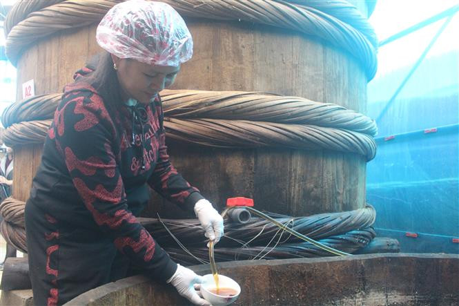 Không khí lao động, sản xuất tại các cơ sở sản xuất nước mắm truyền thống Khúc Phụ trong những vụ Tết luôn hối hả, tất bật. Ảnh: Khiếu Tư -TTXVN Làng nghề nước mắm truyền thống Khúc Phụ tất bật vào vụ Tết ảnh 1