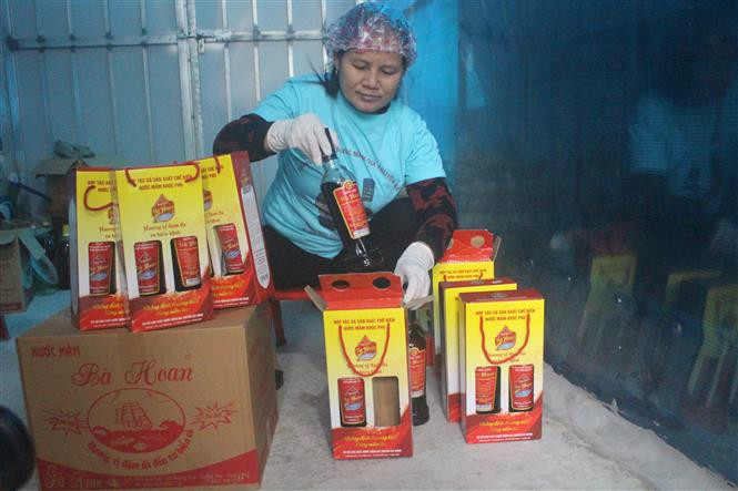 Nước mắm Khúc Phụ được đóng hộp cẩn thận trước khi đưa đến tay người tiêu dùng. Ảnh: Khiếu Tư -TTXVN Làng nghề nước mắm truyền thống Khúc Phụ tất bật vào vụ Tết ảnh 4
