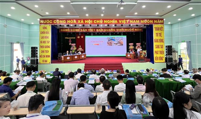 Quang cảnh Hội thảo. Ảnh: Ánh Tuyết - TTXVN Thúc đẩy liên kết vùng để Đồng bằng sông Cửu Long “cất cánh” ảnh 1