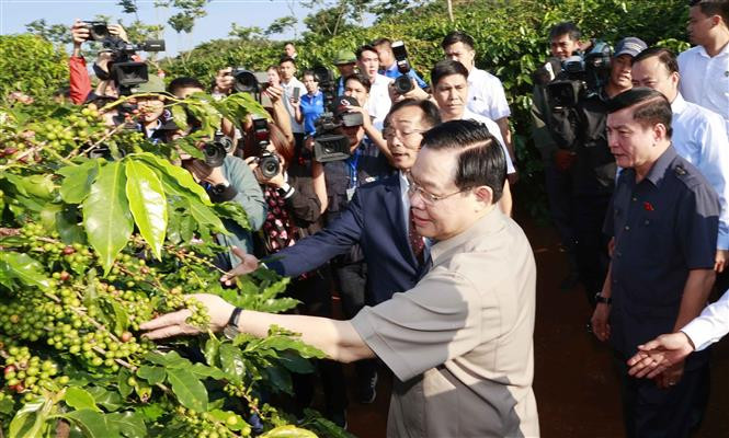 Chủ tịch Quốc hội Vương Đình Huệ thăm vùng trồng cà phê tại bản Hoàng Văn Thụ, xã Hua La, thành phố Sơn La. Ảnh: Doãn Tấn – TTXVN Chủ tịch Quốc hội Vương Đình Huệ thăm vùng trồng và dự Lễ khánh thành Nhà máy chế biến cà phê Sơn La ảnh 2