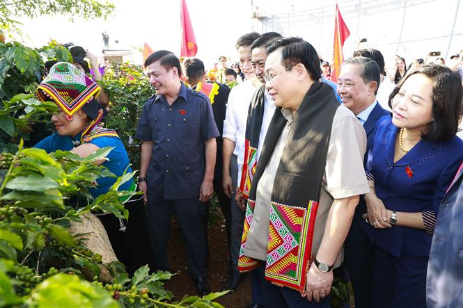 Chủ tịch Quốc hội Vương Đình Huệ chứng kiến cuộc thi hái cà phê tại Hội thi Nhà nông đua tài. Ảnh: Doãn Tấn – TTXVN Chủ tịch Quốc hội Vương Đình Huệ thăm vùng trồng và dự Lễ khánh thành Nhà máy chế biến cà phê Sơn La ảnh 3